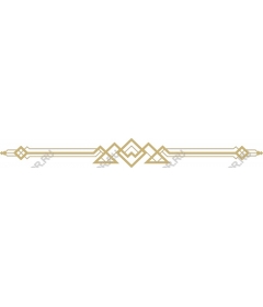  Elegant geometric