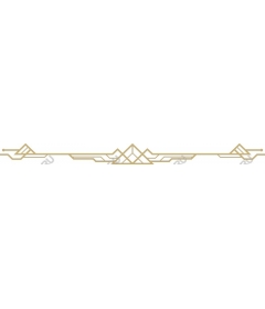 Premium Geometric