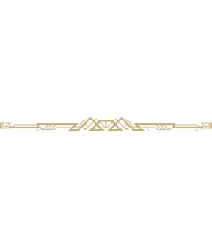  Elegant geometric