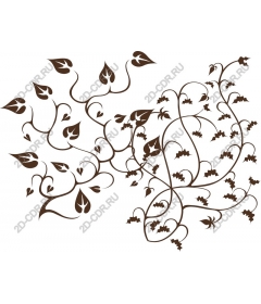  Elegant vine