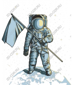 Astronaut with flag
