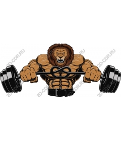 Muscular lion, raising gravity