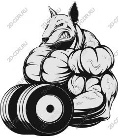 The strength of the brawny dog
