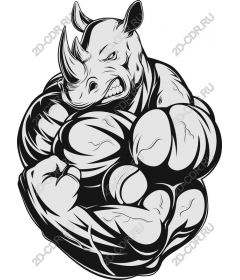  Muscular Rhino
