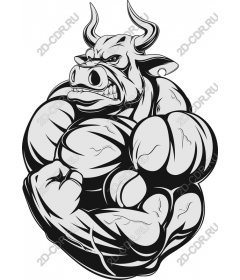  Muscle strength of the ox