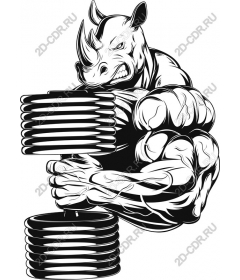 Rhino weightlifting