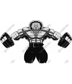  Muscled Leo weightlifting