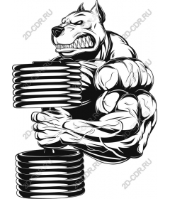 Weightlifting for muscular dogs