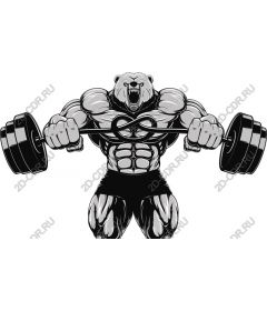  Ferocious bear lifts weights