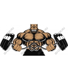 Muscular bear with dumbbells