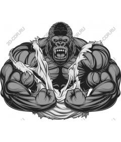 Powerful muscular gorilla