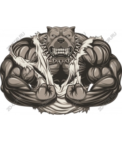  Ferocious bulldog