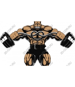 Powerful bear lifter
