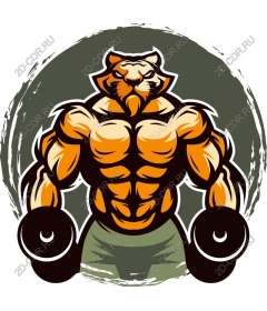 Muscular bear