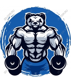  Muscular Panda