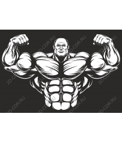 Muscular male fitness and sports