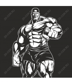  Dynamic bodybuilder
