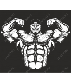 Muscular man flexes muscles