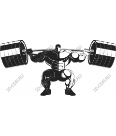 Weight lifting muscle