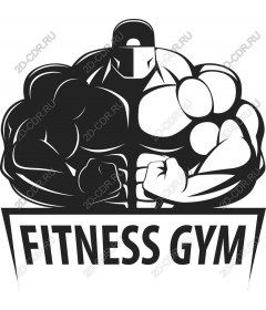  Muscle power - Fitness gym