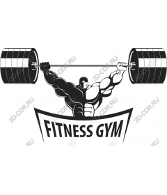 Muscular weightlifter gym