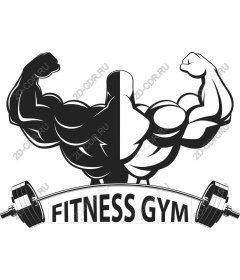  Fitness room muscle