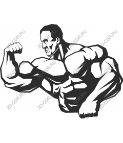 Muscular man