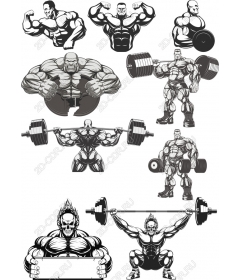 Set to train muscular strength