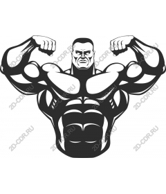 Dynamic muscular cartoon