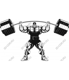  Muscle power