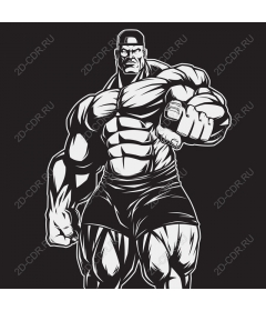  Muscle power
