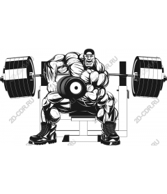  Dynamic bodybuilder
