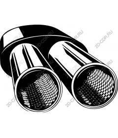 Dual exhaust pipes