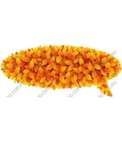  Bright autumn leaf