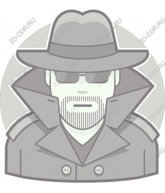  A mysterious detective