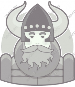 Viking-warrior