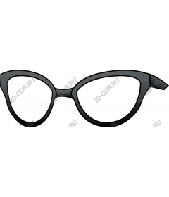  Chic sunglasses cat-eye