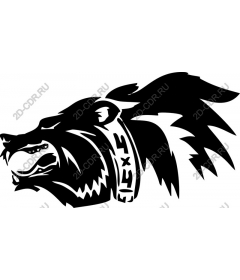Head of a ferocious bear with a collar 4x4