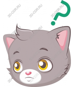 Head of a curious cat