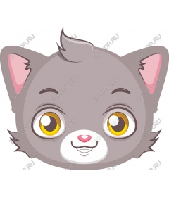  Charming grey cat