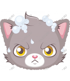 Saucy bubble cat