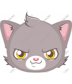  Игривая мордашка серого кота