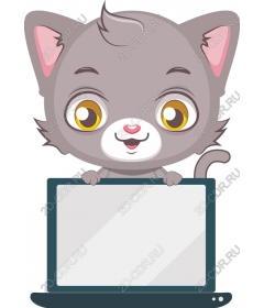 Grey cat with a laptop