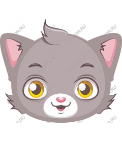  Charming grey cat