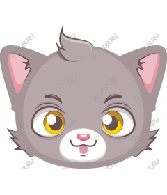Playful grey cat face