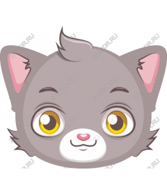 Playful grey cat face