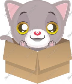  Cute kitty in a box