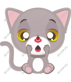  Surprised Kitty