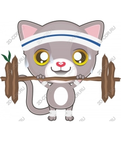  Energetic fitness cat