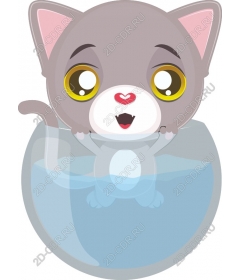  Cute cat in the aquarium